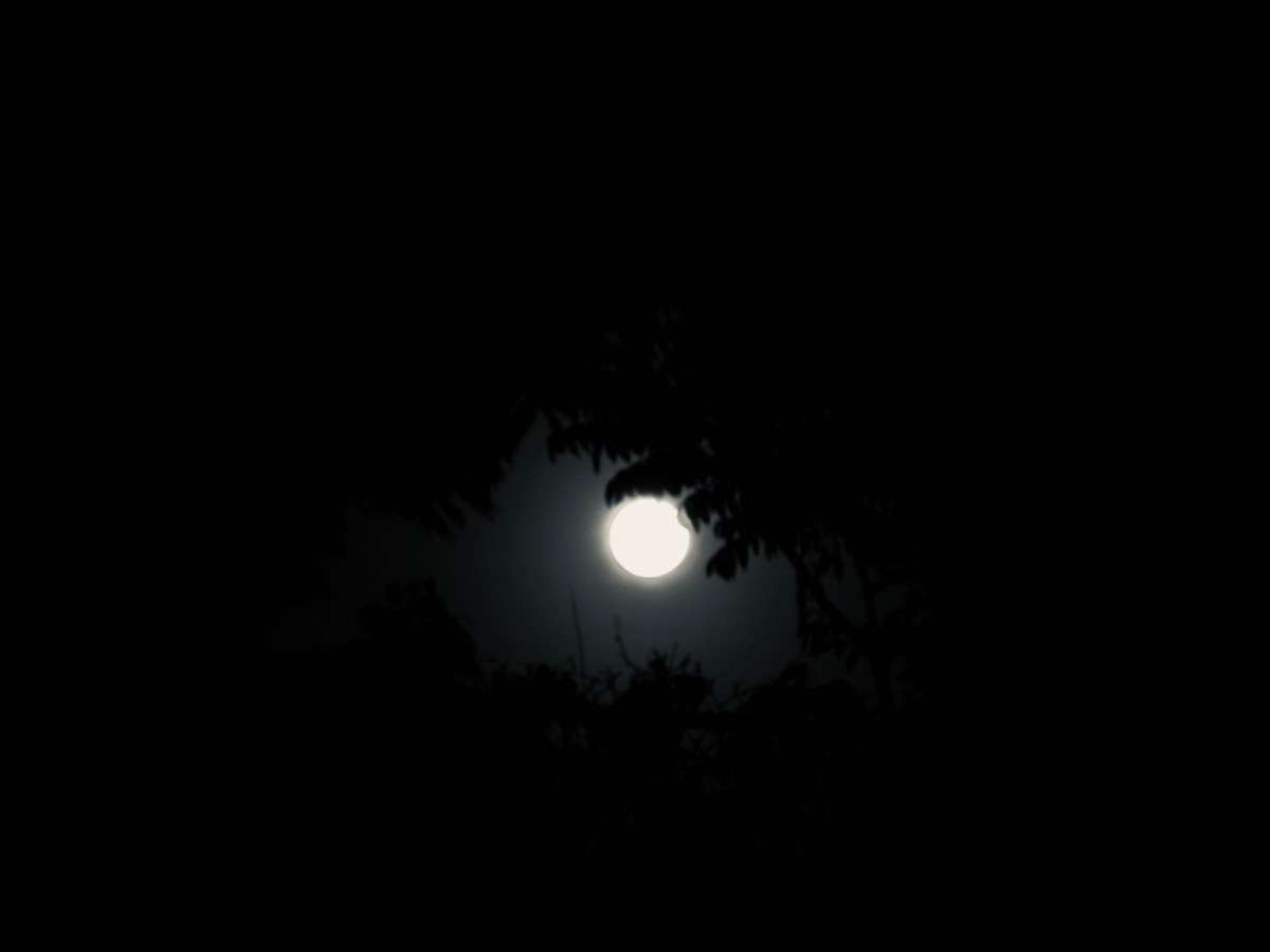 Sembrando con la&nbsp;luna